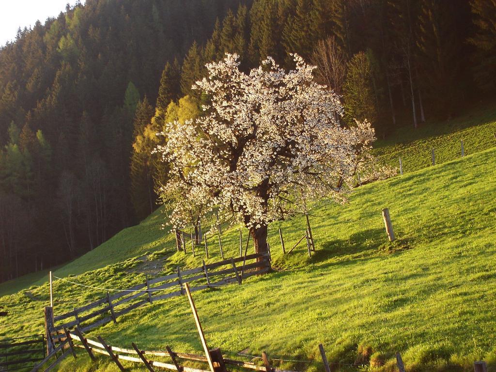 Appartement Greti Schladming Luaran gambar